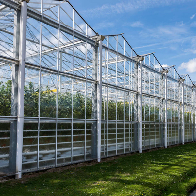 Sebzeler için Hidroponik Büyüyen Sistem Tarımsal Güneş Cam Sera