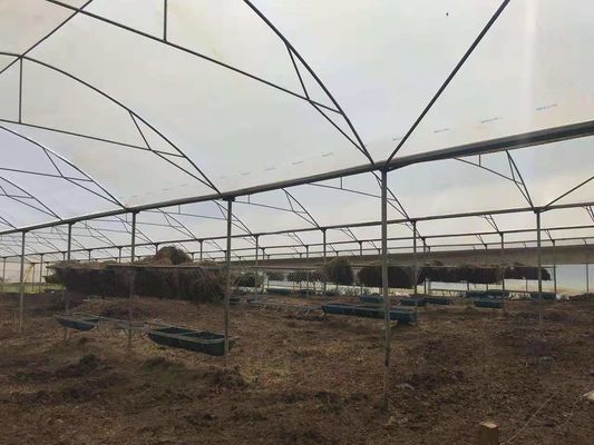 Kümes Hayvanları Çiftliği Kullanılan Tarımsal Plastik Sıcak Sera Yağmurdan Korunuyor