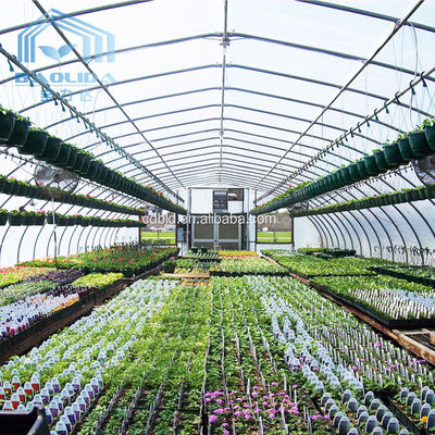 Büyüyen Tarım Bitkileri İçin 200 Mikro PE Film Tüneli Plastik Tek Açıklıklı Sera