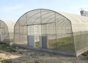 Sebze Yetiştiriciliği İçin Tek Açıklıklı Plastik Tünel Seralar Polietilen Film Sera
