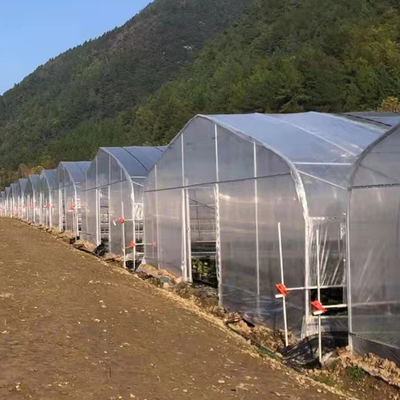Domates Yetiştiriciliği için 30m Uzunluk Tek Açıklıklı Plastik Kaplama Film Sera