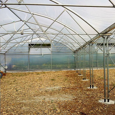 Galvanizli Çelik Çerçeve Çok Açıklıklı Tarımsal Seralar Çiçek Sebze Yetiştiriciliği
