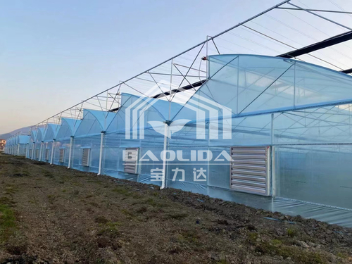 son şirket davası hakkında Sri Lanka Çok Açıklıklı Testere Dişli Üst Havalandırma Serası