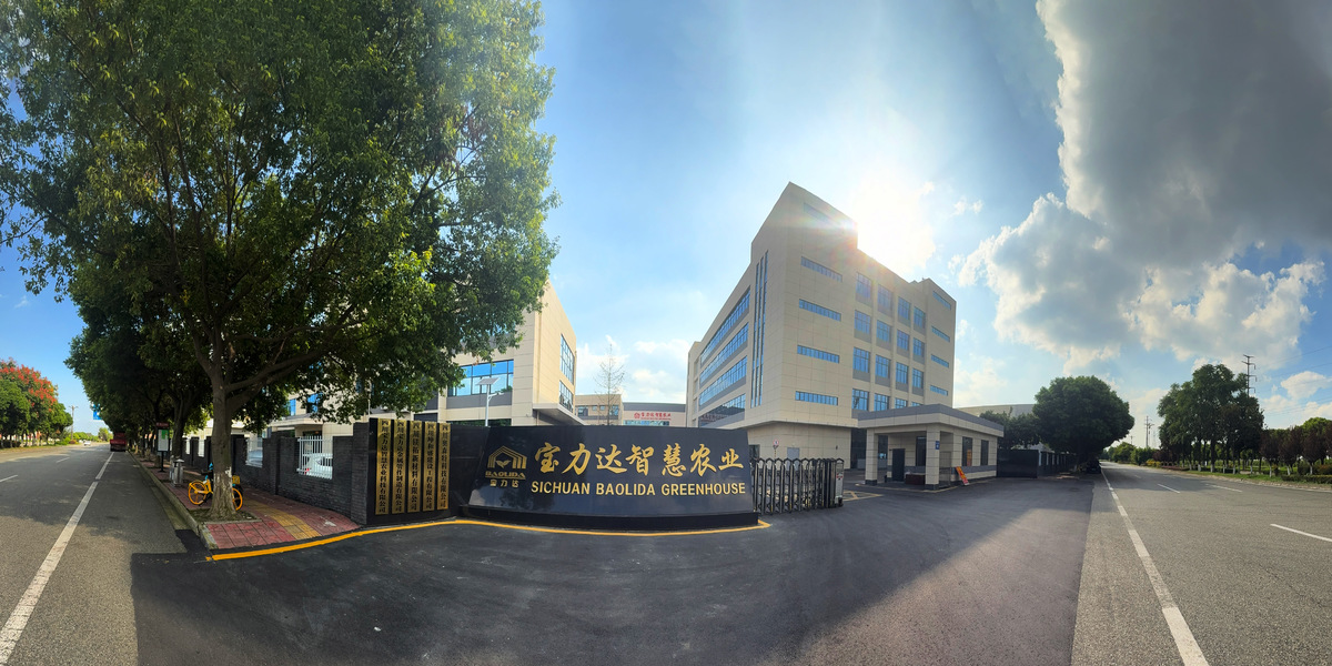 Çin Sichuan Baolida Metal Pipe Fittings Manufacturing Co., Ltd. şirket Profili