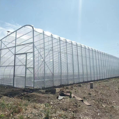 Kalite  Plastic Film Solar Passive Greenhouse With Rainwater Collection Support fabrika
