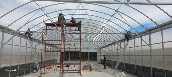 Kalite  Automated Light Deprivation Greenhouse with 8mm Twin-Wall PC Board and Hot-Dip Galvanized Steel Frame Controlled by Smart PLC System fabrika