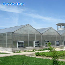 Kalite  Commercial Polycarbonate Sheet Greenhouse / PC Sheet Greenhouse Customized Material fabrika