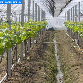 Kalite  Small Greenhouse Irrigation System / Greenhouse Auto Watering System fabrika