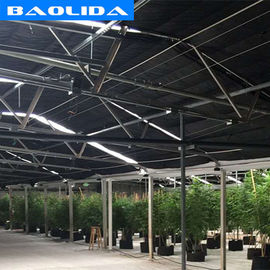 Kalite  Advanced Automated Blackout Greenhouse Full Auto Light Deprivation Hemp Growing fabrika