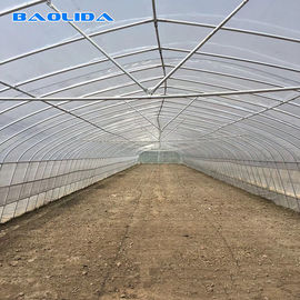 Kalite  Tomato Growing Naturally Ventilated Greenhouse Plastic Film Greenhouse fabrika