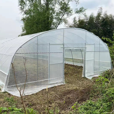 Kalite  Strawberry Growing Side Ventilation Single Span Greenhouse For Agriculture fabrika