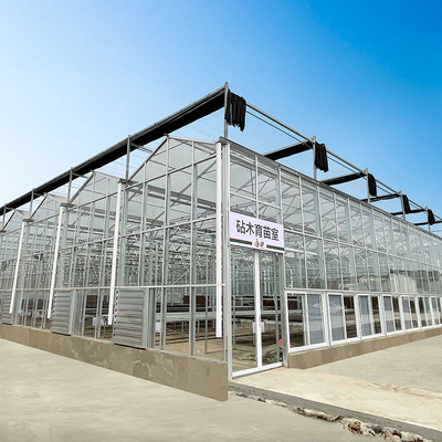 Multi Span Hyroponic Galvanized Float Venlo Greenhouse Glass Agricultural Kits