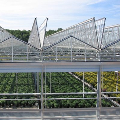 Sebzeler için Hidroponik Büyüyen Sistem Tarımsal Güneş Cam Sera