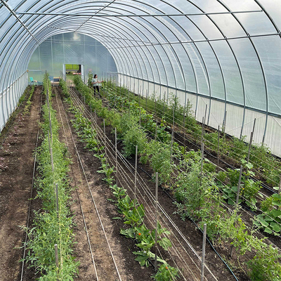 Tarım bitkileri yetiştirmek için galvanizli çelik boru Tek Açıklıklı Film Ticari Tünel Plastik Sera