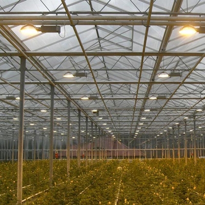 Büyüyen Bitkiler İçin Yüksek Tünel Venlo Otomasyon Sistemi Polikarbonat Levha Sera