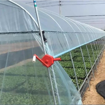 Sebze Bitkileri için Galvanizli Çelik Çerçeve Tüneli Plastik Film Sera Büyüyor