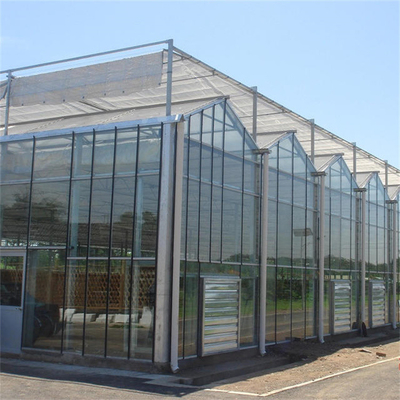 Sebzeler Hidroponik İçin Temperli Cam Panel Venlo Tipi Sera Multispan