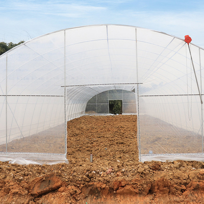 Sebze Yetiştiriciliği Tek Açıklıklı Sera Tarımı Fideler İçin Yüksek Tünel
