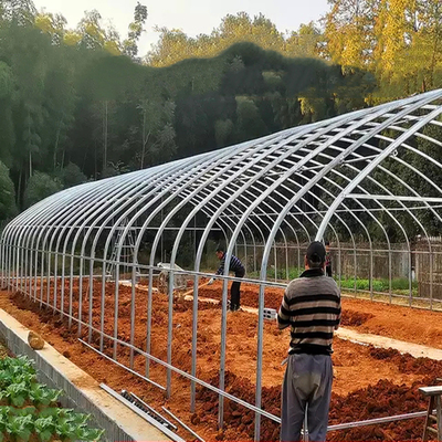 Büyüyen Tarım Bitkileri için Tek Açıklıklı Plastik Film Tüneli Sera