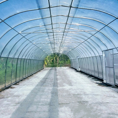 Tropics Hydroponic Growing için Şemsiye Çatı Havalandırma Tek Açıklıklı Sera