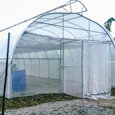 Tropics Hydroponic Growing için Şemsiye Çatı Havalandırma Tek Açıklıklı Sera