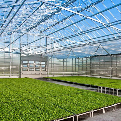 Ticari Cam Çok Açıklıklı Sera Tarım Bitkileri Yetiştiriciliği