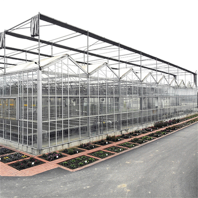 Tarım Çiçek Sera Camı Endüstriyel Açık Multispan Cam Çiçek Dikim İçin Profesyonel Hollandalı Sera