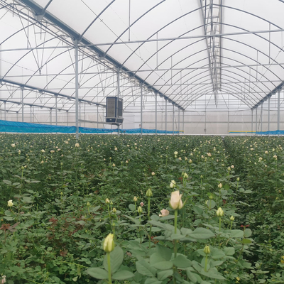 Sebze için Anti Böcek Net Çok Açıklıklı Topraksız Tünel Plastik Sera