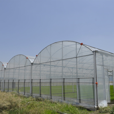 Sebze için Anti Böcek Net Çok Açıklıklı Topraksız Tünel Plastik Sera