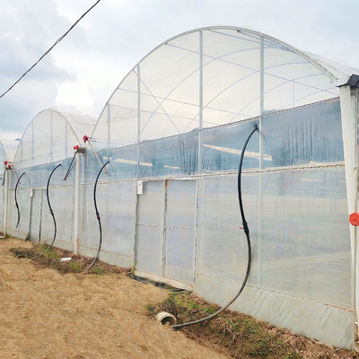 Anahtar Teslim Projeler Kurulu Ticari Hidroponik Plastik Film Sera Çok Açıklıklı Tarımsal Seralar
