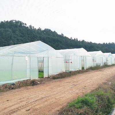 Tek Katmanlı Sıcak Plastik Film Serası Malezya Domates Çiçek Serası Tarım için
