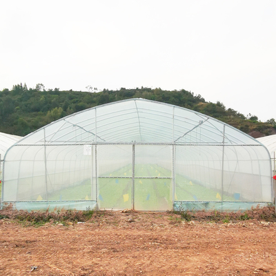 Tek Katmanlı Sıcak Plastik Film Serası Malezya Domates Çiçek Serası Tarım için