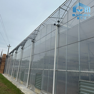 Akıllı Galvanizli Tüp Çelik Boru Domates Plastik Film Kemer Serası Tarımsal Çoklu Aralıklı Serası Satılık