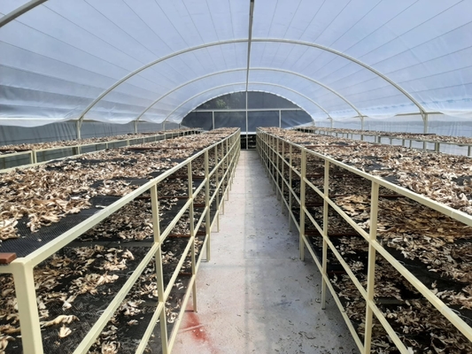 Hızlı Teslimat 8*26 Metre Tek Güneş Kurutma Sera Gıda Kurutma Güneş Kurutma Sera