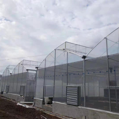 Sıcak Dip Galvanizli Çelik Boru Yeşilhane Serinhane Havalandırmalı Plastik Çakmak Dişli Çok Aralıklı Film Tropikal Serinhane
