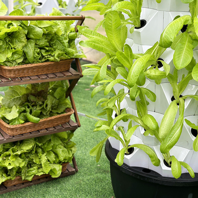 Growart Kulesi Hidroponik Büyütme Sistemi Otomatik Görünür Su hattı Uzay tasarrufu ABS