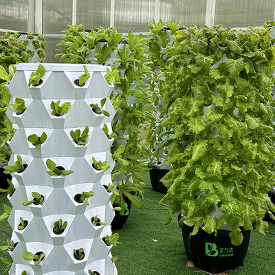 Growart Kulesi Hidroponik Büyütme Sistemi Otomatik Görünür Su hattı Uzay tasarrufu ABS