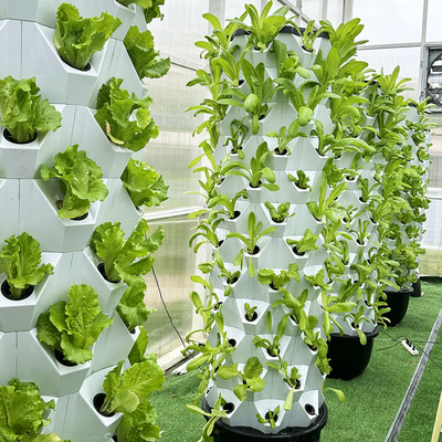Growart Kulesi Hidroponik Büyütme Sistemi Otomatik Görünür Su hattı Uzay tasarrufu ABS