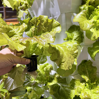 80 bitki deliği Hydroponic bitki kulesi 1-23 saat zamanlama ile