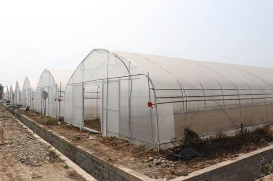 Polytunnel Sri Lanka Colombo Çelik Çerçeve Sera Tek Açıklıklı