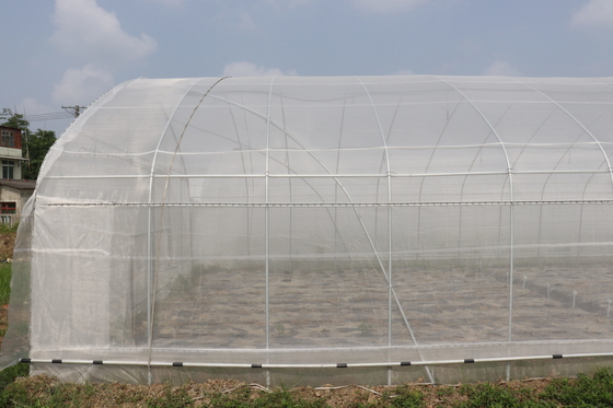 Polytunnel Sri Lanka Colombo Çelik Çerçeve Sera Tek Açıklıklı