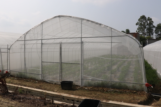 Polytunnel Sri Lanka Colombo Çelik Çerçeve Sera Tek Açıklıklı