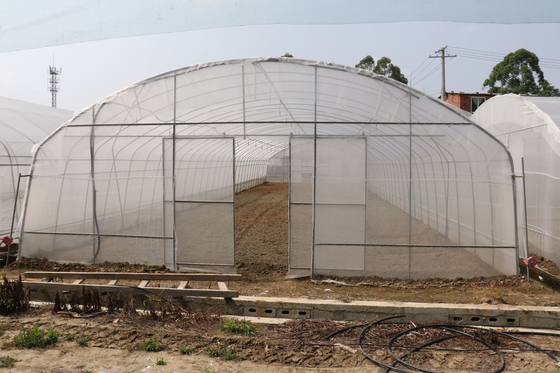 Polytunnel Sri Lanka Colombo Çelik Çerçeve Sera Tek Açıklıklı