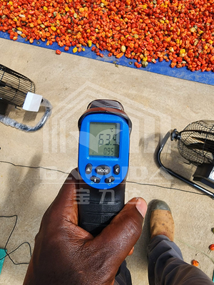 Enerji verimli kurutma seraları, sebze ve bitkilerin kontrollü kurutulması için havalandırma