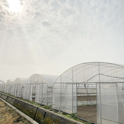 Çiçek ve sebze yetiştirme projeleri için 6x15m tünel sera