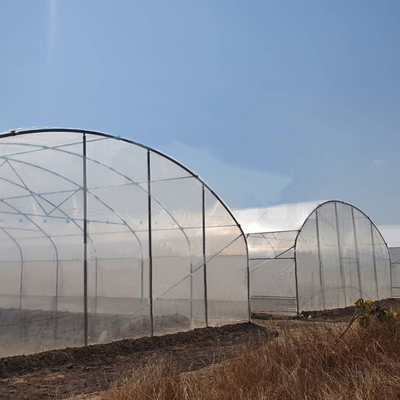 Çiçek ve sebze yetiştirme projeleri için 6x15m tünel sera