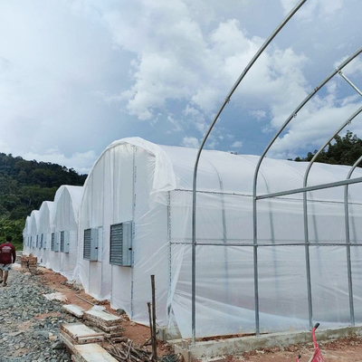 En iyi yalıtım ile galvanizli boru çerçeve tünel sera