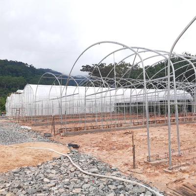 En iyi yalıtım ile galvanizli boru çerçeve tünel sera