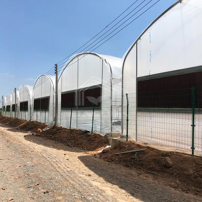 Tarımsal Çözümler İçin Pratik Yüksek Tünel Sera