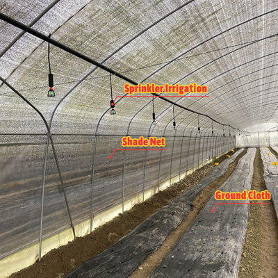 Serre Gewachshaus Sklenik Serra Invernadero Sebze yetiştirme seraları